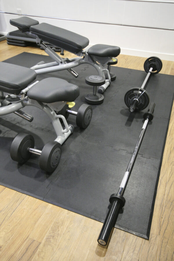 Bench and gym weights on interlocking gym tiles